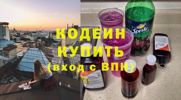 ГАЛЛЮЦИНОГЕННЫЕ ГРИБЫ Горно-Алтайск