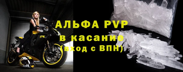 ГАЛЛЮЦИНОГЕННЫЕ ГРИБЫ Горно-Алтайск