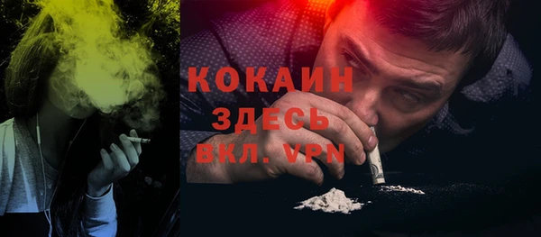 ГАЛЛЮЦИНОГЕННЫЕ ГРИБЫ Горно-Алтайск
