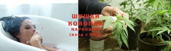 ГАЛЛЮЦИНОГЕННЫЕ ГРИБЫ Горно-Алтайск