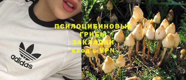 ГАЛЛЮЦИНОГЕННЫЕ ГРИБЫ Горно-Алтайск