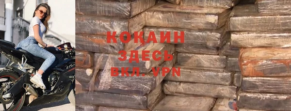 ГАЛЛЮЦИНОГЕННЫЕ ГРИБЫ Горно-Алтайск