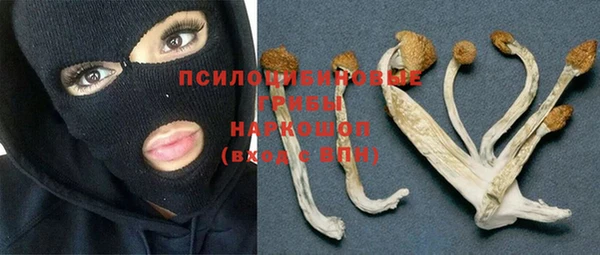 ГАЛЛЮЦИНОГЕННЫЕ ГРИБЫ Горно-Алтайск