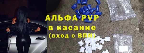 ГАЛЛЮЦИНОГЕННЫЕ ГРИБЫ Горно-Алтайск