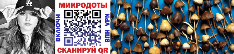 Купить закладки  Олёкминск  Галлюциногенные грибы мухоморы 